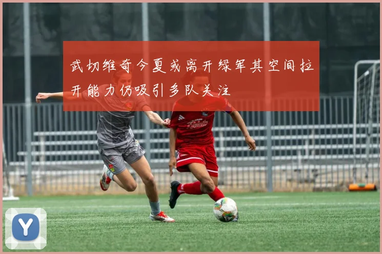 武切维奇今夏或离开绿军其空间拉开能力仍吸引多队关注